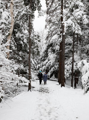 Walking with the Roadents in Shubie Park